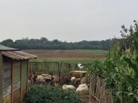  of property in Rustenburg