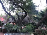  of property in Cashan
