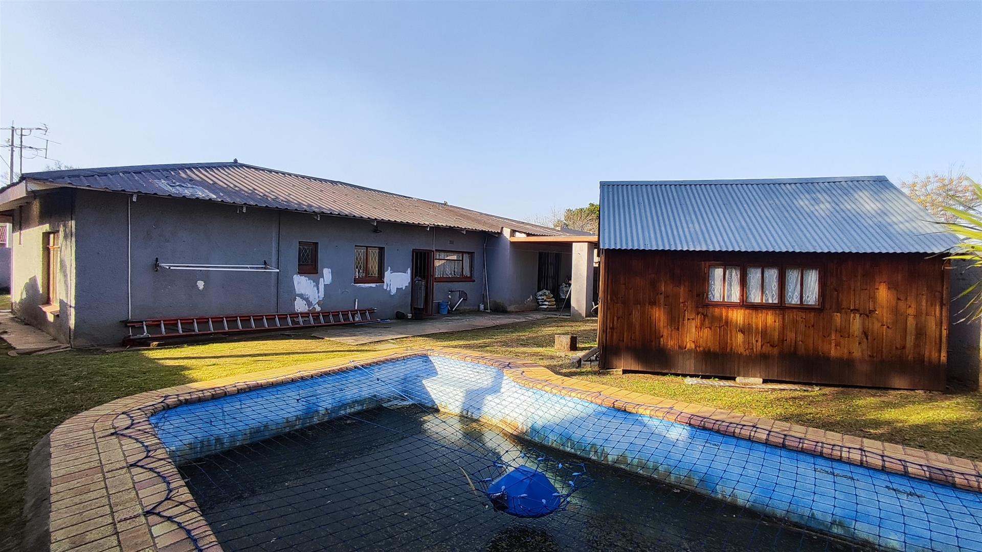 Backyard of property in Raceview