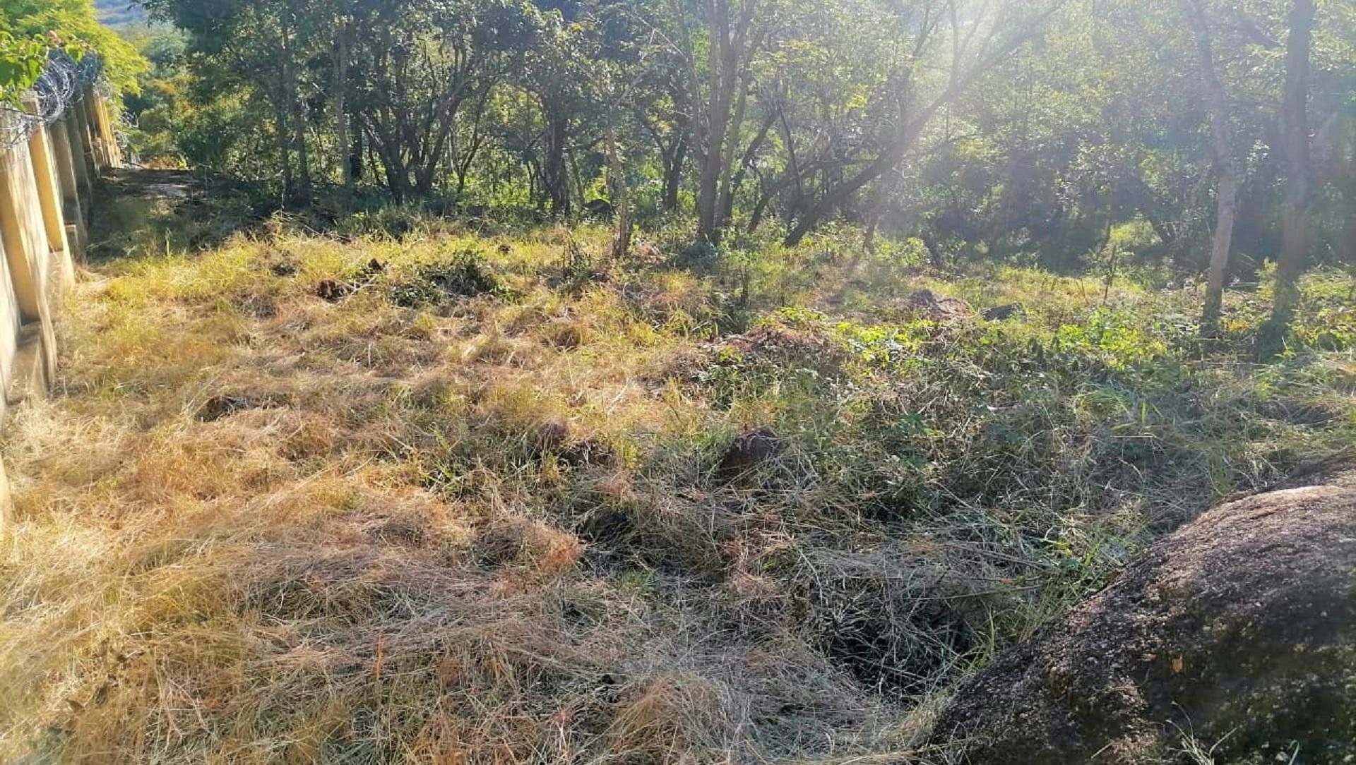 Spaces of property in Drum Rock