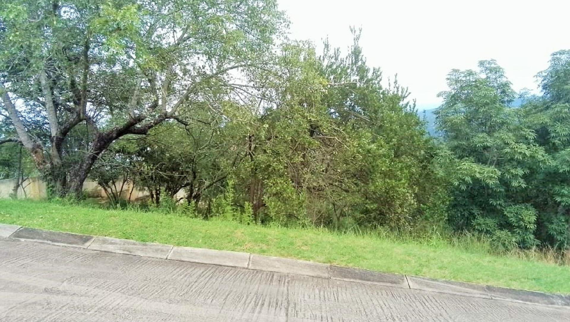 Spaces of property in Drum Rock