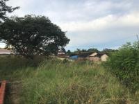  of property in Makhado (Louis Trichard)