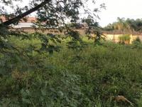  of property in Makhado (Louis Trichard)