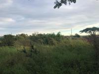  of property in Makhado (Louis Trichard)