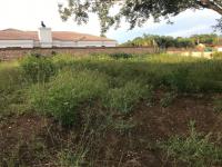  of property in Makhado (Louis Trichard)