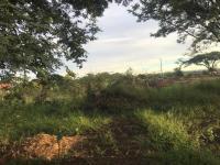  of property in Makhado (Louis Trichard)
