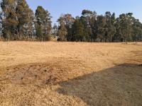  of property in Benoni AH