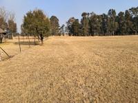  of property in Benoni AH