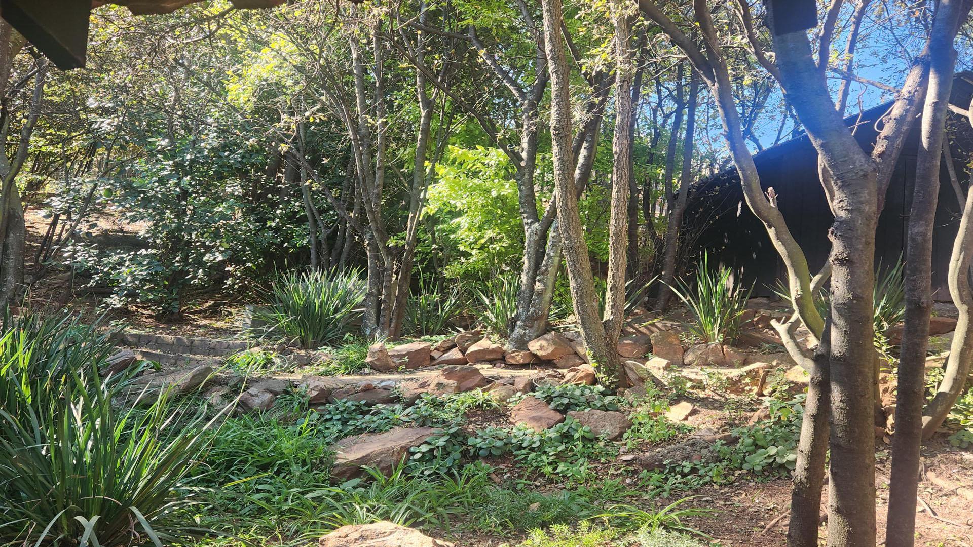Backyard of property in Kloofendal