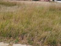  of property in Jameson Park