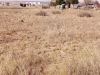  of property in Jameson Park
