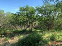  of property in Hoedspruit