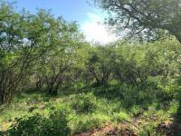  of property in Hoedspruit