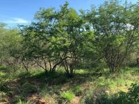  of property in Hoedspruit