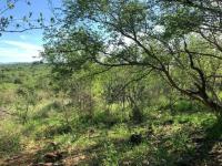  of property in Hoedspruit