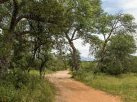  of property in Hoedspruit