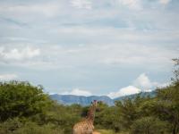 of property in Hoedspruit