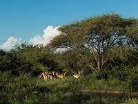  of property in Hoedspruit