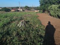  of property in Makhado (Louis Trichard)