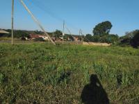  of property in Makhado (Louis Trichard)