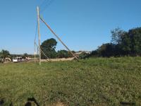  of property in Makhado (Louis Trichard)