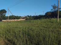  of property in Makhado (Louis Trichard)