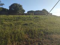  of property in Makhado (Louis Trichard)