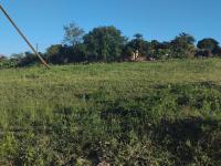  of property in Makhado (Louis Trichard)
