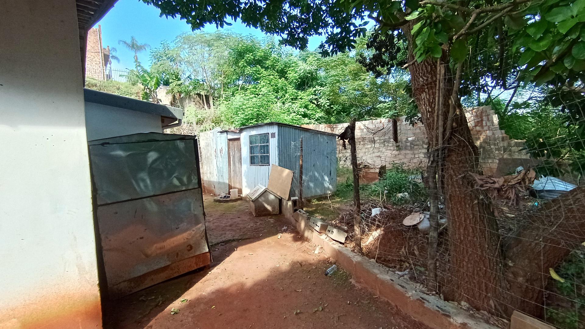 Backyard of property in Lotus Park