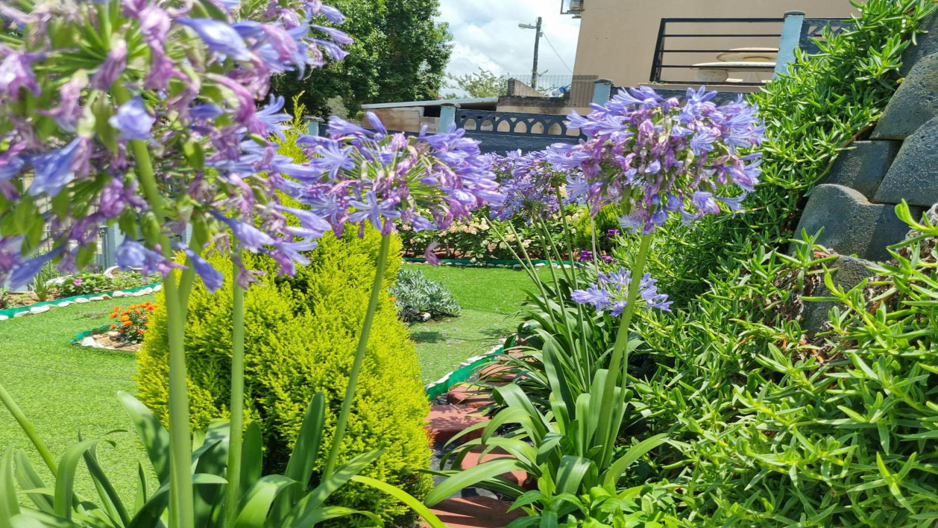 Backyard of property in Whetstone