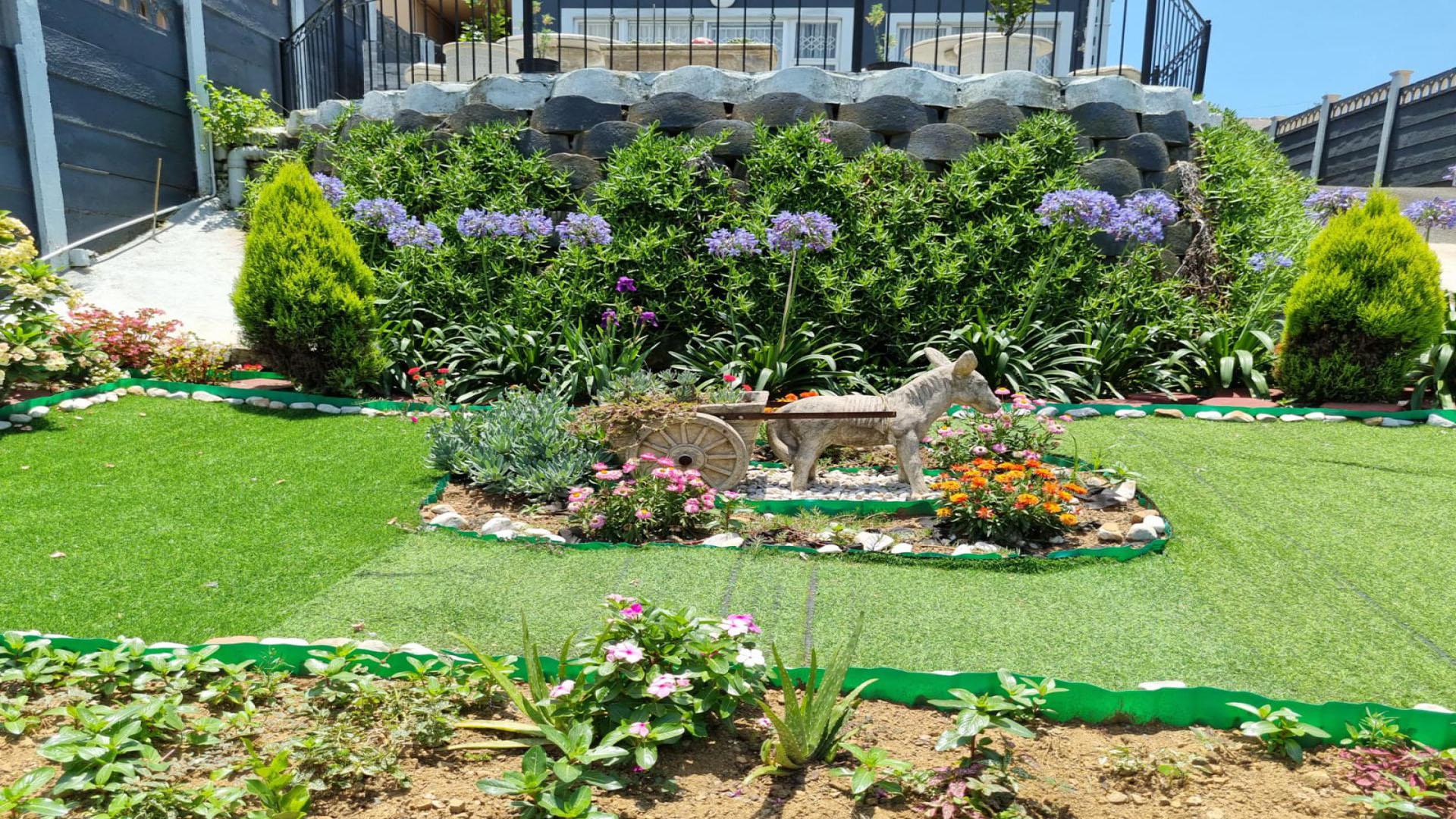 Backyard of property in Whetstone