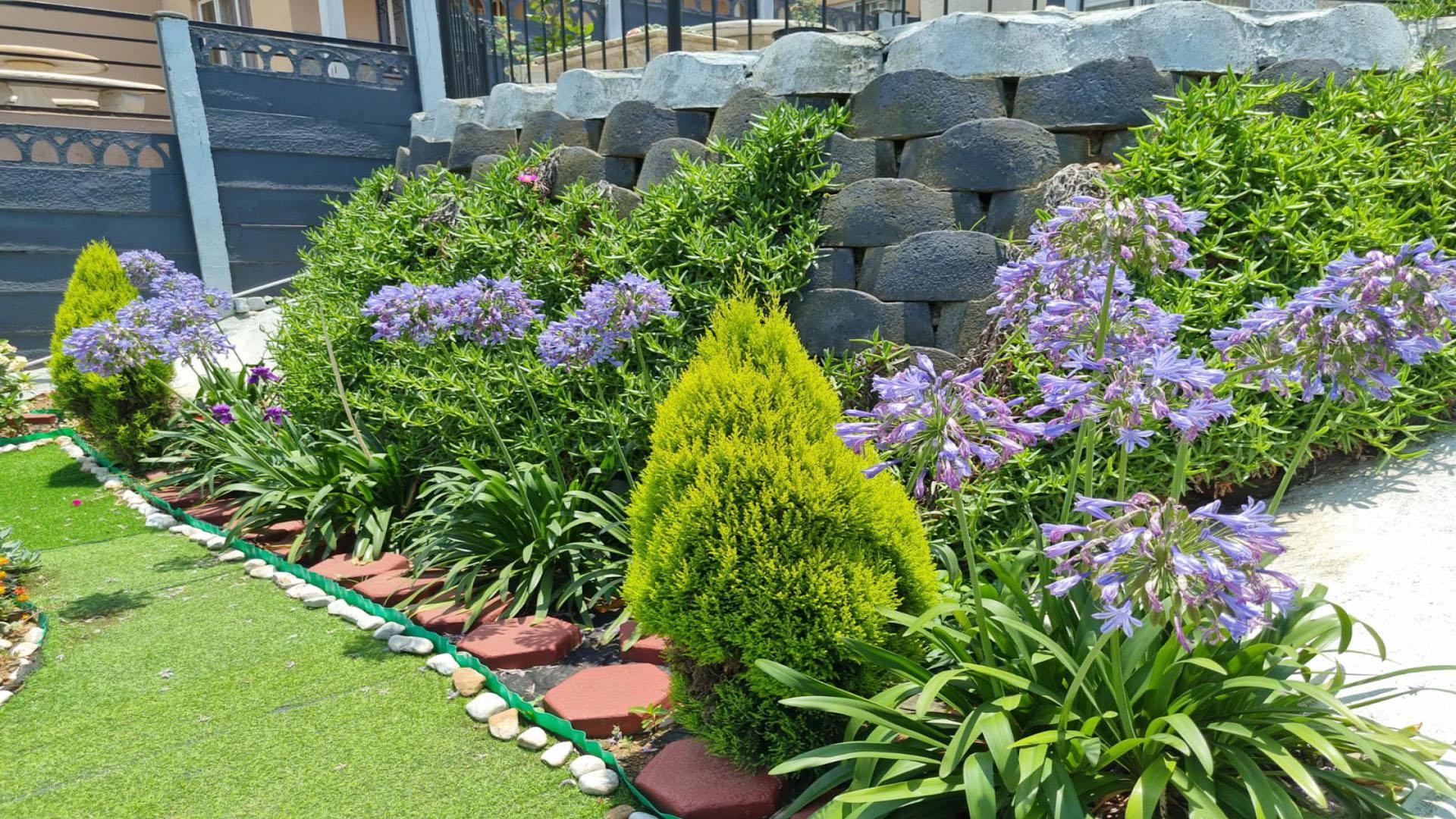 Backyard of property in Whetstone