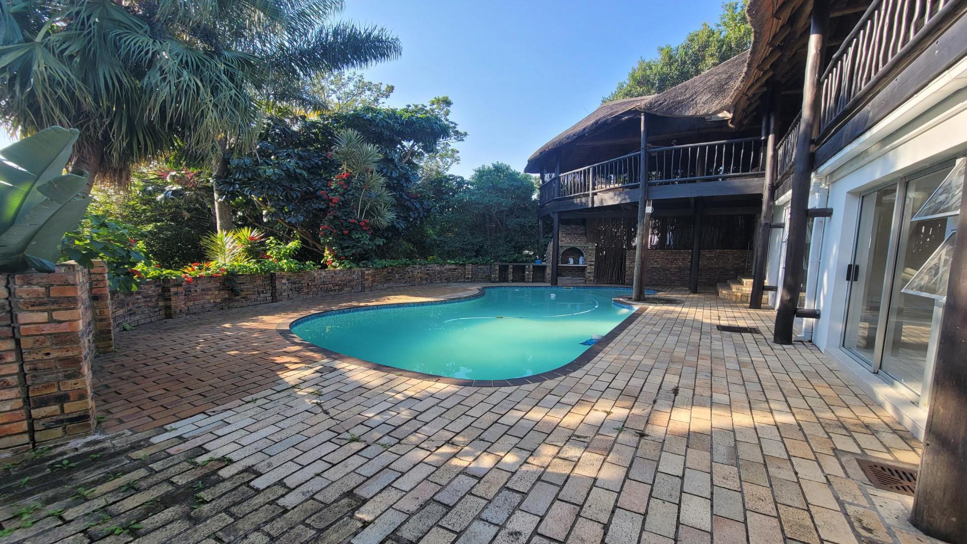 Backyard of property in East London