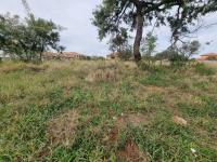  of property in Polokwane