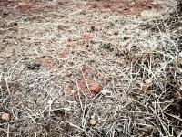  of property in Bendor