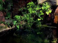 of property in Polokwane