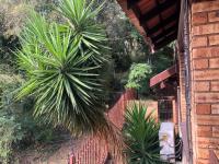  of property in Safarituine