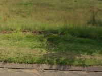  of property in Hendrina