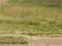  of property in Hendrina