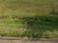  of property in Hendrina