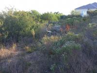  of property in Hermanstad