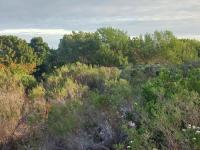  of property in Hermanstad