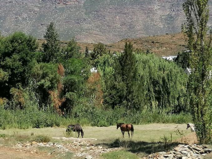 Land for Sale For Sale in Barrydale - MR678711