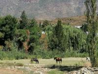  of property in Barrydale