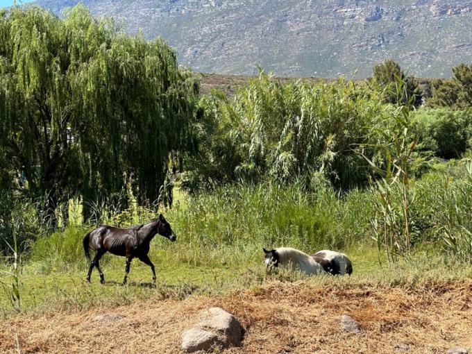 Land for Sale For Sale in Barrydale - MR678712