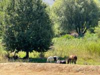  of property in Barrydale