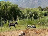  of property in Barrydale