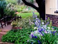  of property in Randhart