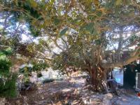  of property in Simon's Town