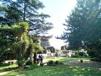  of property in Webber